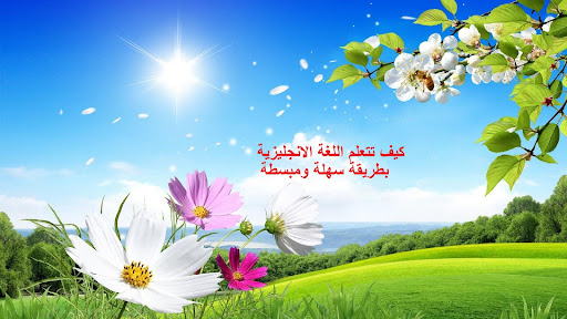 English Language Academy banner