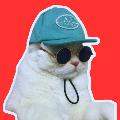 Naggi avatar