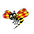 Expressen avatar
