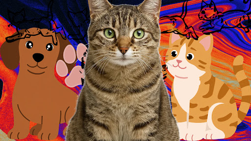   3️⃣ Pet Reactions banner