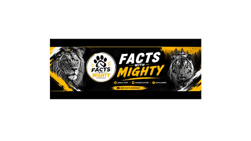FactswithMighty banner