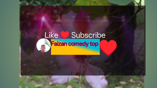 Faizan Comedy top banner