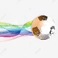 FC CURIOSIDADES DO FUTEBOL avatar