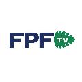 Federação Paranaense de Futebol avatar