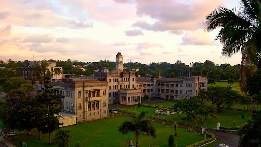 FijiGovernment banner