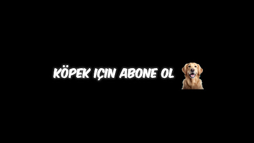 Fikir Frekansı banner