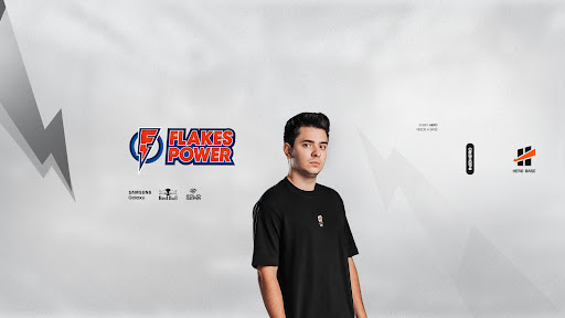 Flakes Power banner