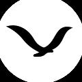 FLLY'S FOOTBALL avatar