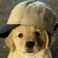 Fluffydaily  avatar