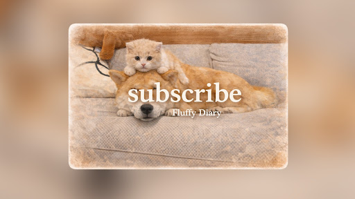 Fluffy Diary banner