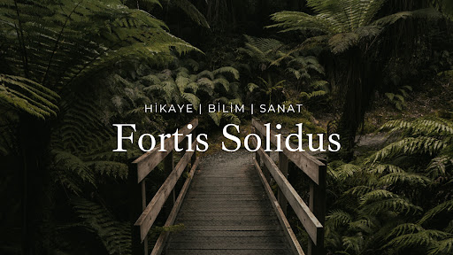 Fortis Solidus banner
