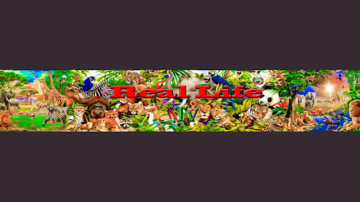 Free Life TV banner