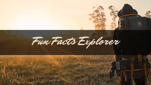 Fun Facts Explorer banner