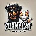 funnydcat avatar