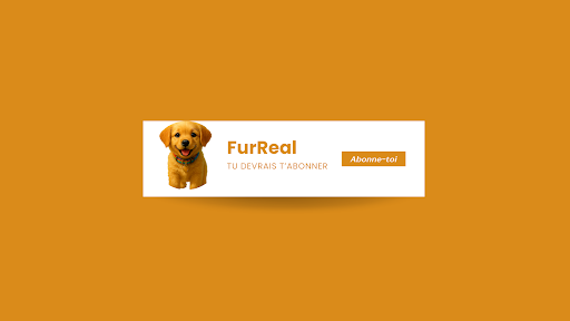 FurReal banner