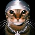 fyz avatar