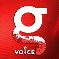 Galatta Voice avatar