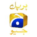 Geo Entertainment avatar