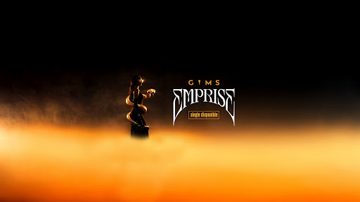 GIMS banner