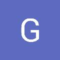 GISNELIA SANTOS avatar