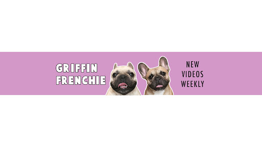 Griffin Frenchie banner