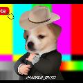 Grinberg_Editzz avatar