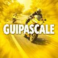 guipascale avatar