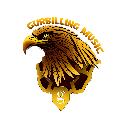 GurBilling Music avatar