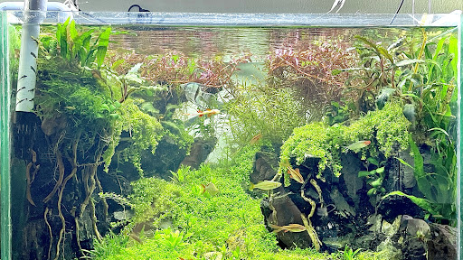 Hải Đăng Aqua banner