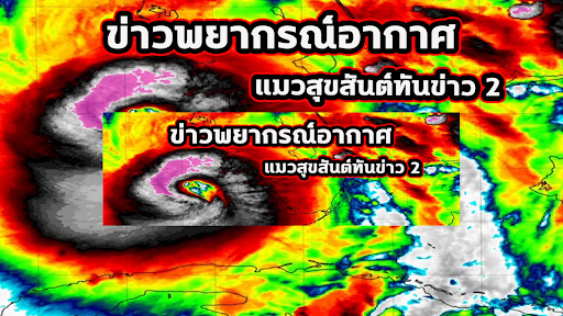 แมวสุขสันต์ทันข่าวพยากรณ์อากาศ banner