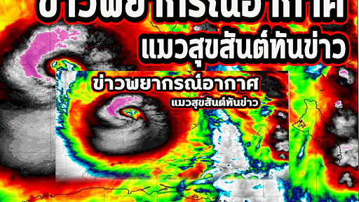 แมวสุขสันต์ ทันข่าว banner