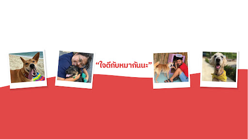 Happy Doggo Thailand banner