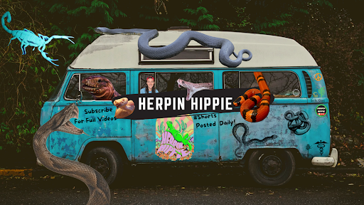 Herpin Hippie banner
