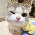 hfcsw knjt avatar