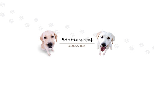 천재 호야와 신나는 하루 banner