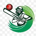 Hs Sporty 🏏  avatar