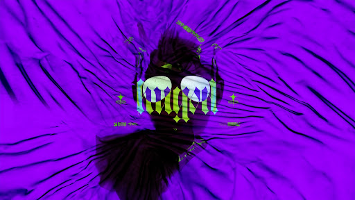 Hugo Délire - Les VOD banner