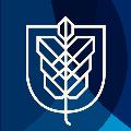 Hult International Business School avatar
