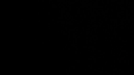 Carla Evellyn banner