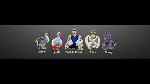 MrGeese banner