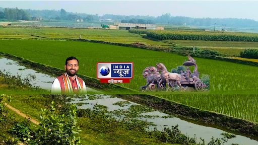 India News Haryana banner