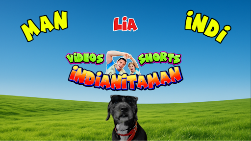 INDIANITAMAN banner