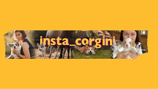 Милена Сеелен banner