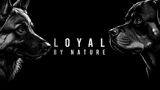 Instinctive banner
