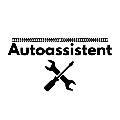 Autoassisten avatar