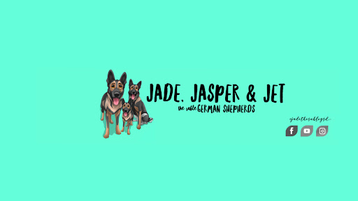 Jade The Sable GSD banner