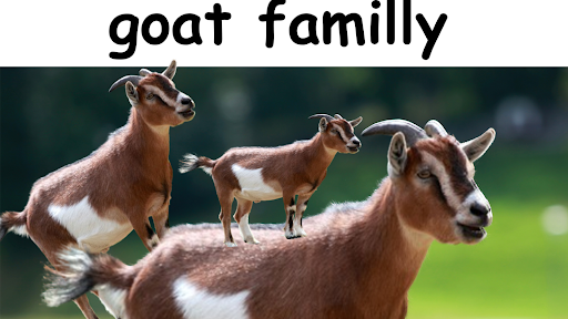 JayDD2 banner