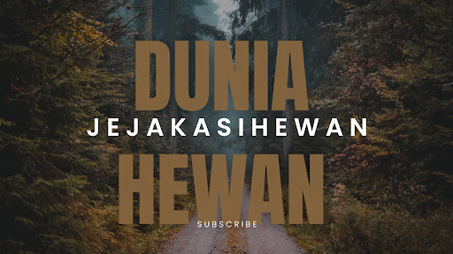Jejak kasih hewan  banner