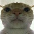 Jerxzy avatar