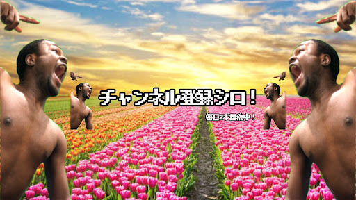 ダモ好き( damosuki) banner